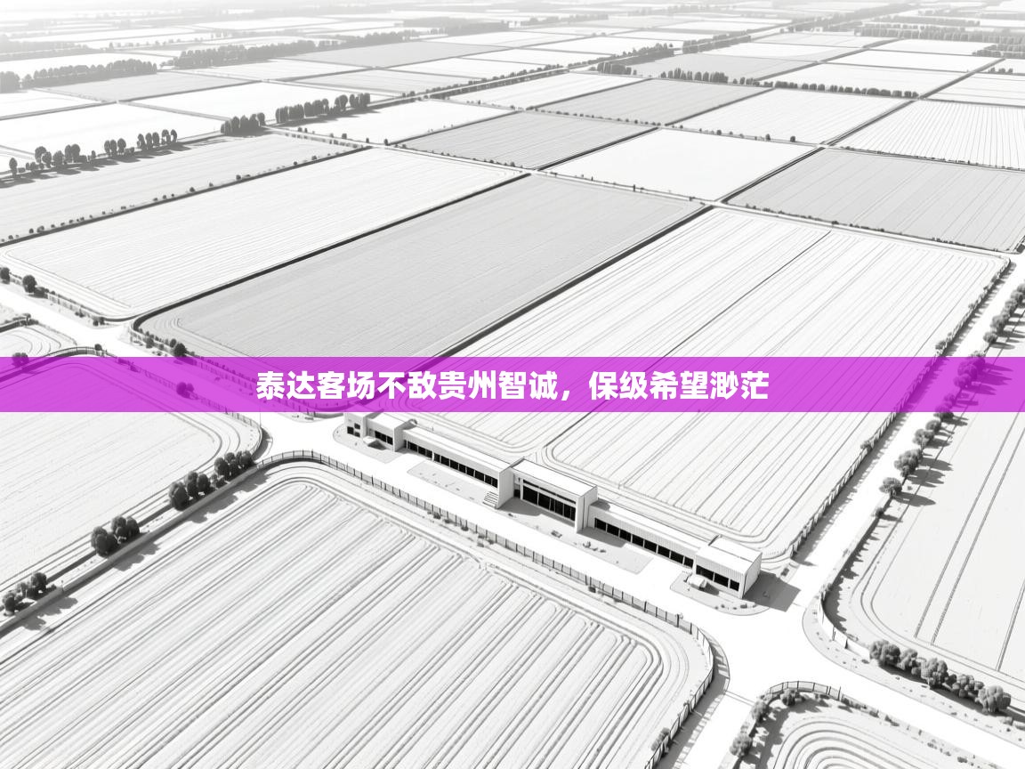 泰达客场不敌贵州智诚,保级希望渺茫 第1张